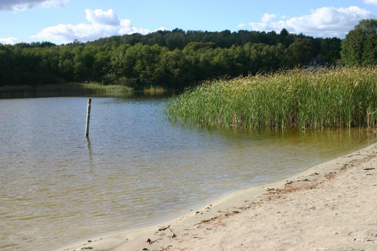 באד סארואו Ferienwohnung Am See 55 מראה חיצוני תמונה